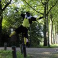 IMG_1631307