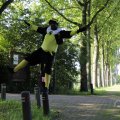 IMG_1631308