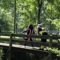 IMG_1631853