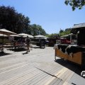 IMG_1641145