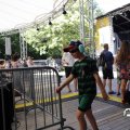 IMG_1641241