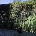 IMG_1641270