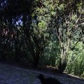 IMG_1641271
