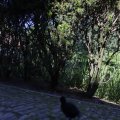 IMG_1641272