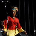 IMG_1641473