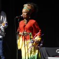 IMG_1641498