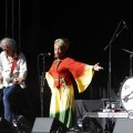 IMG_1641598
