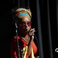 IMG_1641698