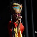 IMG_1641699