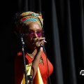 IMG_1641700