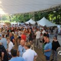 IMG_1641804