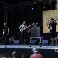 IMG_1641904