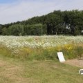 IMG_1643815