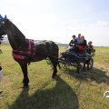IMG_1643833
