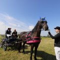 IMG_1643837