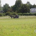 IMG_1643972