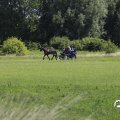 IMG_1643974
