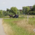IMG_1643977