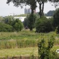 IMG_1643996