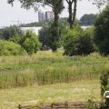 IMG_1643997