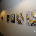 IMG_1645202
