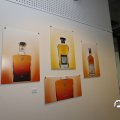 IMG_1645220