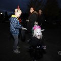 IMG_1665552