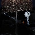 IMG_1665585