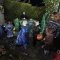 IMG_1665614