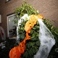 IMG_1665805