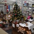 DSC074_13-12-2019