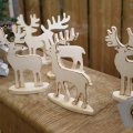 DSC086_13-12-2019