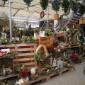 DSC088_13-12-2019