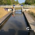 IMG_1687496