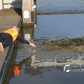 IMG_1687509