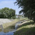 DSC045_19-07-2020