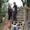 DSC007_27-08-2020