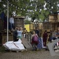 DSC011_27-08-2020