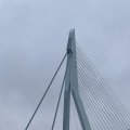 IMG_1717877.