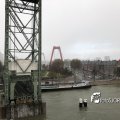 IMG_1729306