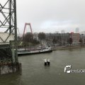 IMG_1729308