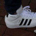 IMG_1729956