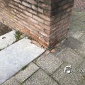 IMG_1732124