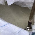 IMG_1732885