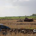 IMG_1837134