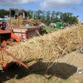 IMG_1837279