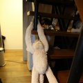 IMG_1853572