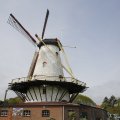 IMG_1879268