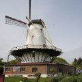 IMG_1879273