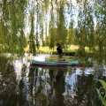 IMG_1879659